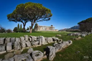 Griechischer Säulentempel mit Pinie im weiten Gelände von Paestum, Italien.