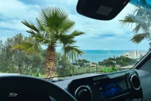 Aussicht aus dem Wohnmobil auf die tief unten liegende Küste mit Palmen im Vordergrund.