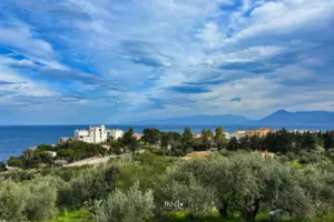 Blick über den Olivenhain mit einem grossen Hotel und dahinter die Küste und das Meer.