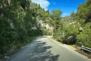 Die kurvenreiche Küstenstrasse führt immer wieder durch waldige Partien.