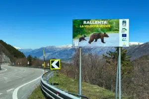 Ein Hinweisschild weist auf die Gefahr hin, dass Bären die Strasse queren könnten.