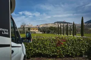 Ein Blick auf die Stadt Assisi von unterhalb mit einer Zypressen Allee im Vordergrund.