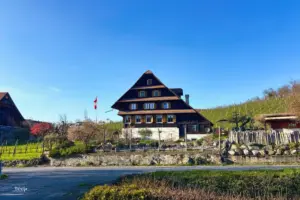 Am Rande des Rebberges steht ein typisches Luzerner Bauernhaus aus Holz.