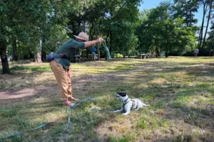 Eine Frau spielt mit dem Hund auf der Wiese und übt mit einem Seil seine Geduld.