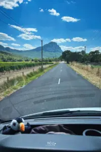 Auf der langen Strasse ist weit und breit kein anderes Fahrzeug unterwegs, herrlich auf den kleinen Strassen im Hinterland Frankreichs.